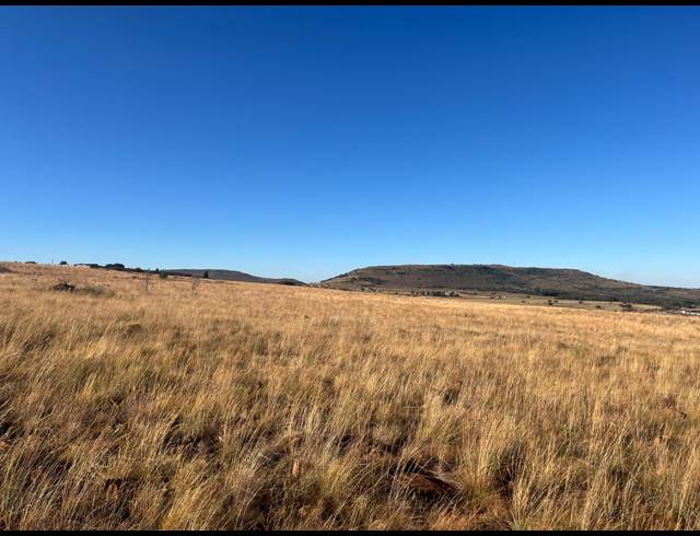 10,320M² VACANT LAND FOR SALE IN WALKERVILLE MANOR